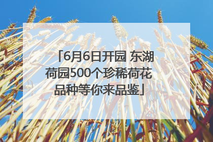 6月6日开园 东湖荷园500个珍稀荷花品种等你来品鉴