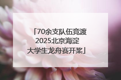 70余支队伍竞渡 2025北京海淀大学生龙舟赛开桨