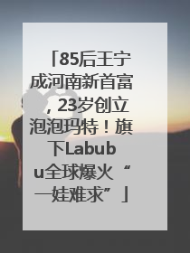 85后王宁成河南新首富，23岁创立泡泡玛特！旗下Labubu全球爆火“一娃难求”