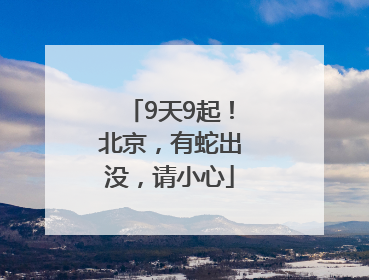 9天9起!北京,有蛇出没,请小心
