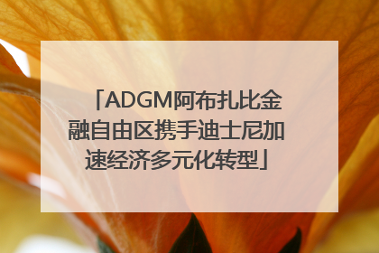 ADGM阿布扎比金融自由区携手迪士尼加速经济多元化转型