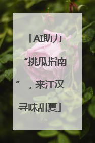 AI助力“挑瓜指南”，来江汉寻味甜夏