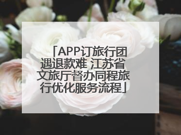 APP订旅行团遇退款难 江苏省文旅厅督办同程旅行优化服务流程