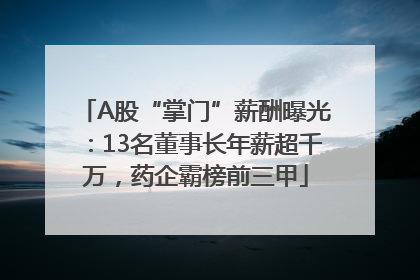 A股“掌门”薪酬曝光：13名董事长年薪超千万，药企霸榜前三甲