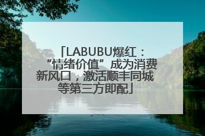 LABUBU爆红：“情绪价值”成为消费新风口，激活顺丰同城等第三方即配
