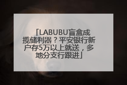 LABUBU盲盒成揽储利器？平安银行新户存5万以上就送，多地分支行跟进