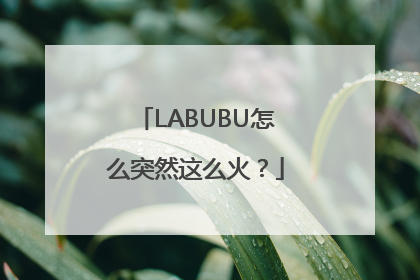 LABUBU怎么突然这么火？