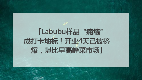 Labubu样品“痛墙”成打卡地标！开业4天已被挤爆，堪比早高峰菜市场