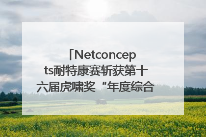 Netconcepts耐特康赛斩获第十六届虎啸奖“年度综合服务商”大奖